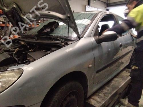 Dør højre fortil PEUGEOT 206 Hatchback (2A/C) 1.9 D | BP18246239C3