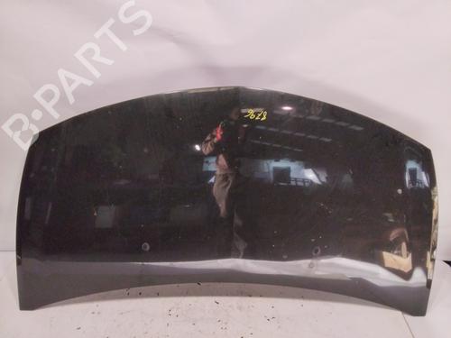 Hood RENAULT CLIO III (BR0/1, CR0/1)  | BP24989064C1 