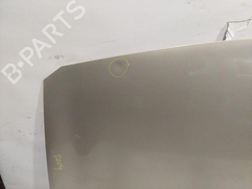 Hood RENAULT MEGANE II (BM0/1_, CM0/1_) 1.9 dCi | BP22697656C1 
