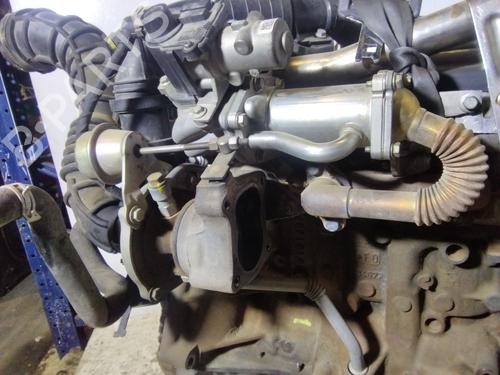 Engine RENAULT CLIO III (BR0/1, CR0/1) 1.5 dCi (BR17, CR17) | BP33620347M1  - Image 7
