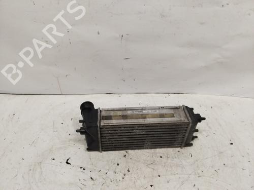 Used Intercooler FORD FIESTA VI (CB1, CCN) 1.6 TDCi (95 hp) 26894983