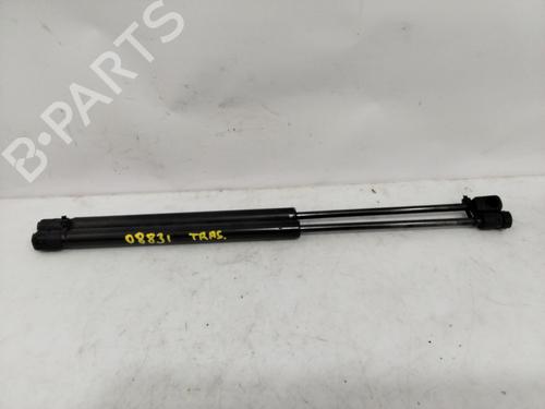 Used Tailgate lift support PEUGEOT 308 I (4A_, 4C_) [2007-2016]  25467342