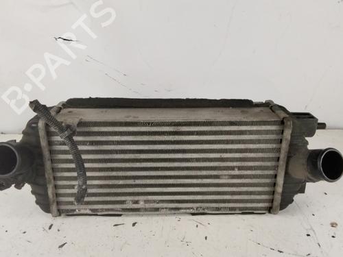 Used Intercooler Intercooler KIA CARENS IV 1.7 CRDi (116 hp) 34039973 34039973