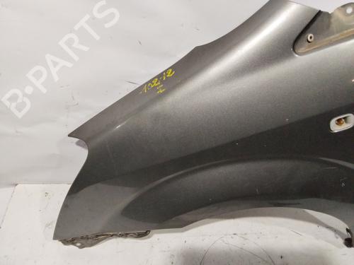 Left front fenders TOYOTA COROLLA Verso (ZER_, ZZE12_, R1_) 2.2 D-4D (AUR10_, AUR10R) | BP30138419C41 