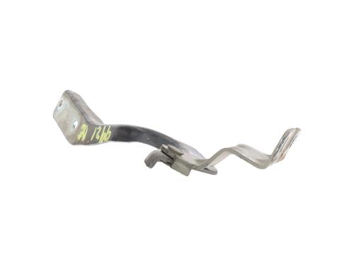 Hinge/Door check strap NISSAN QASHQAI I (J10, NJ10)  | BP29928856C146 