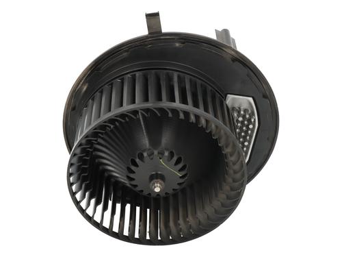 BP31091395M62 main image