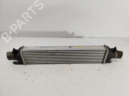 Used Intercooler Intercooler FIAT DOBLO Platform/Chassis (263_) 1.3 D Multijet (263HXU1A, 263YXU1A, 263HYB1A, 263YYB1A) (95 hp) 33175643 33175643