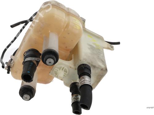 Expansion tank FIAT DUCATO Platform/Chassis (250_) 130 Multijet 2,3 D | BP29489135C120 