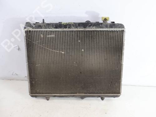 Used Water radiator Water radiator PEUGEOT 207 (WA_, WC_) [2006-2015] 40225960 40225960