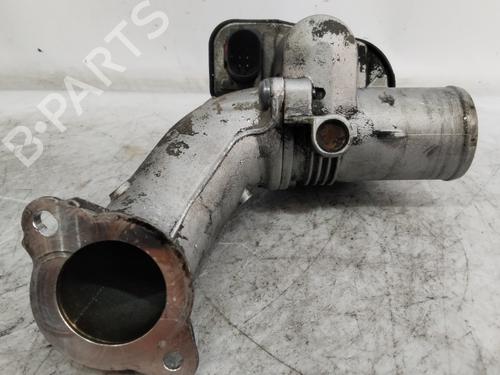 Egr RENAULT CLIO III (BR0/1, CR0/1)  | BP25938313M69 