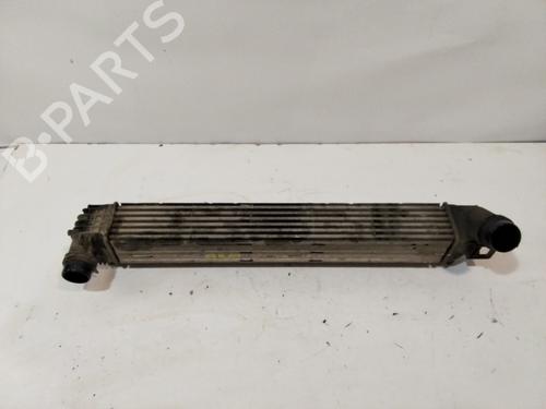 Intercooler RENAULT MEGANE III Grandtour (KZ0/1)  | BP29905042M30 