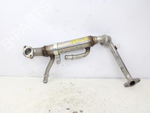 Egr MERCEDES-BENZ A-CLASS (W169)  | BP15125691M69 
