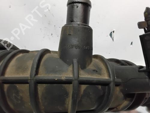 Pipe RENAULT MEGANE III Hatchback (BZ0/1_, B3_) 1.2 TCe (BZ16, BZ28) | BP29941644M125 