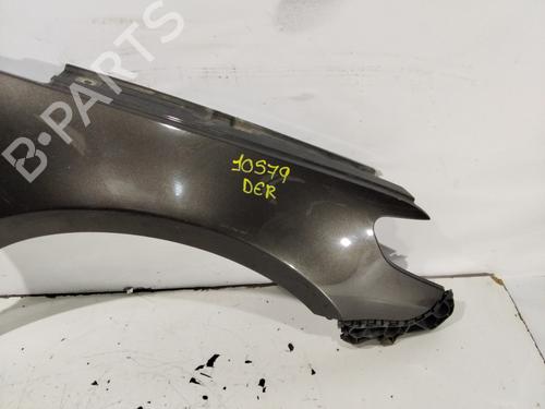Right front fenders VW PASSAT CC B6 (357) | BP32229549C42