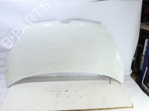 hood-renault-kangoo-express-fw01_-2008-37718591 main image