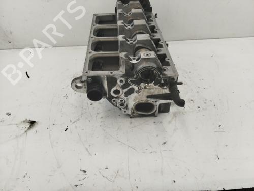 Cylinder head SEAT TOLEDO III (5P2)  | BP18019495M5 