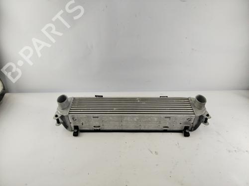 Intercooler LAND ROVER RANGE ROVER SPORT I (L320)  | BP23451561M30 