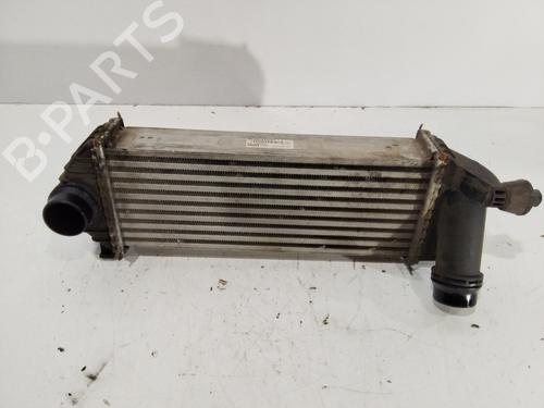 Used Intercooler Intercooler RENAULT KANGOO / GRAND KANGOO II (KW0/1_) [2008-2026] 33168510 33168510