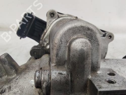 Egr RENAULT KANGOO / GRAND KANGOO II (KW0/1_)  | BP26004880M69 