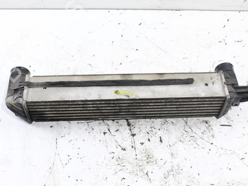 Intercooler CHEVROLET CAPTIVA (C100, C140) | BP16976528M30