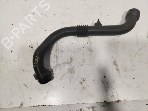 Pipe RENAULT SCÉNIC II (JM0/1_) | BP22425084M125