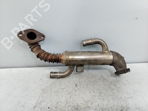 Egr SEAT IBIZA III (6L1)  | BP20225815M69 
