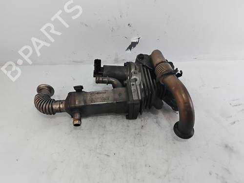 Egr RENAULT SCÉNIC II (JM0/1_) 1.9 dCi (JM0G, JM12, JM1G, JM2C) | BP29828122M69