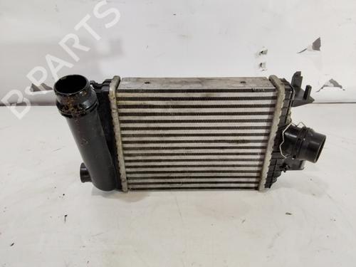 Intercooler RENAULT ARKANA I (LCM_, LDN_) | BP32387551M30