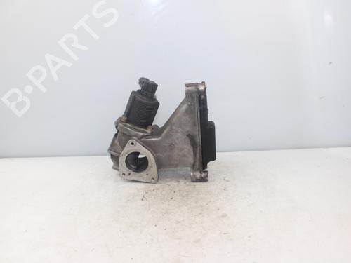 Egr RENAULT VEL SATIS (BJ0_) 2.2 dCi (BJ0E, BJ0F) | BP17719933M69 
