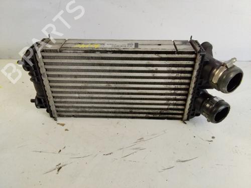 Intercooler PEUGEOT 2008 II (UD_, US_, UY_, UJ_, UR_, UC_)  | BP29963665M30