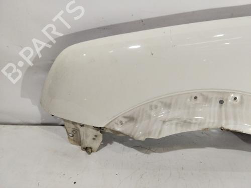 Left front fenders FORD TOURNEO CONNECT | BP32364303C41