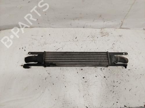 Used Intercooler FIAT PUNTO (188_) 1.3 JTD 16V (70 hp) 28183050