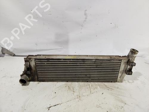 Intercooler RENAULT MEGANE II Saloon (LM0/1_) 1.9 dCi (LM0G, LM1G, LM2C) (120 hp) 30810797