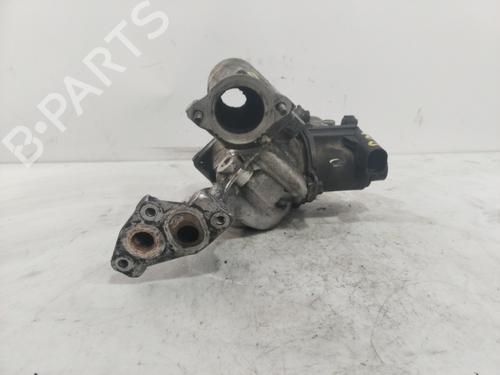Egr RENAULT CLIO III (BR0/1, CR0/1)  | BP25467205M69 