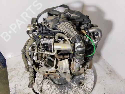 Engine RENAULT CLIO III (BR0/1, CR0/1) 1.5 dCi | BP30560330M1