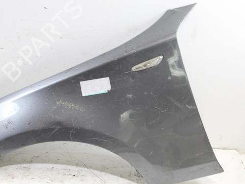 Left front fenders BMW 1 (E87)  | BP16975395C41 