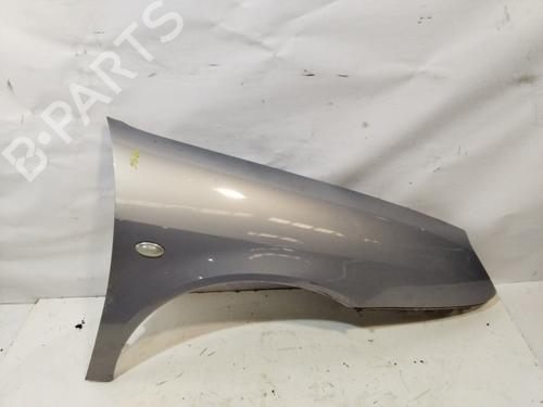 Right front fenders CITROËN XSARA (N1)  | BP29441127C42 