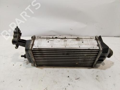 Used Intercooler FORD ECOSPORT 1.0 EcoBoost (125 hp) 29550039
