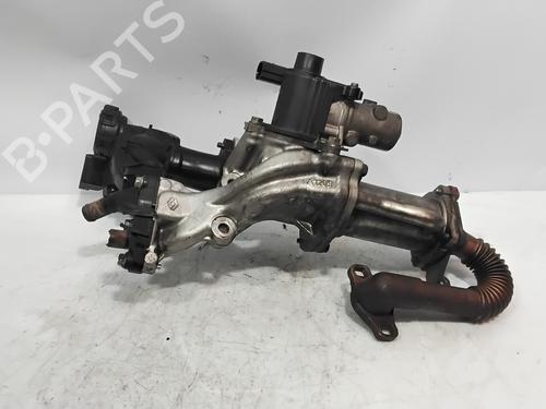 Egr für RENAULT MEGANE II (BM0/1_, CM0/1_) 1.5 dCi (BM1F, CM1F) (86 hp) 29982653