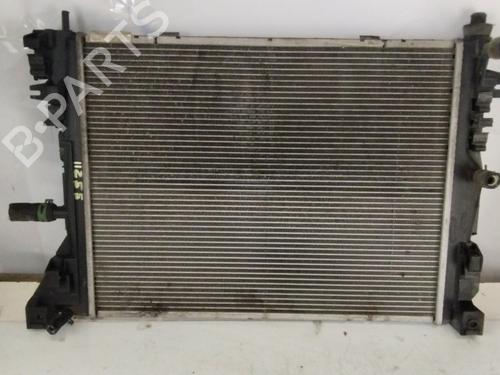 Used Water radiator Water radiator RENAULT ZOE (BFM_) [2012-2026] 33427033 33427033