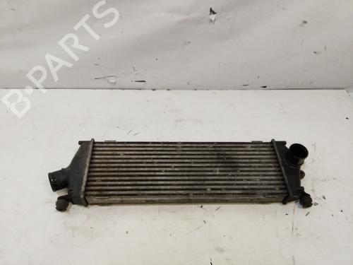 Intercooler OPEL VIVARO A Bus (X83) 2.0 CDTI (F7, J7, A07) | BP29441105M30 