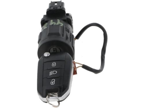 Ignition barrel CITROËN C3 II (SC_)  | BP29904971M48 