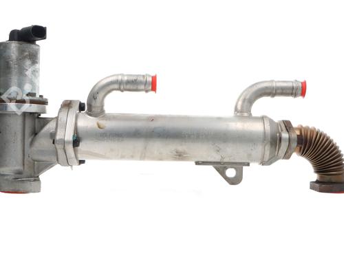 Used Egr Egr KIA CARENS III MPV (UN) [2006-2013] 33842682 33842682