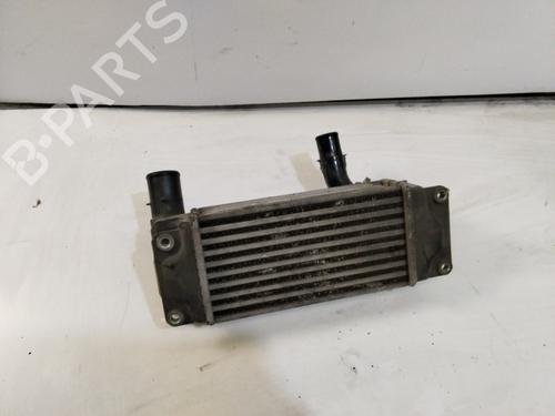 Intercooler HYUNDAI GETZ (TB) 1.1 (67 hp) 20236830