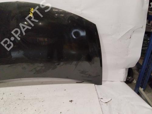 Hood RENAULT CLIO III (BR0/1, CR0/1)  | BP28136291C1 