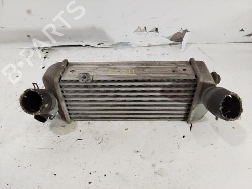 Intercooler HYUNDAI i20 I (PB, PBT) | BP33649461M30 - Image 2