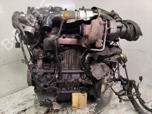 Used Engine FORD FOCUS III 1.6 TDCi (95 hp) 28120461