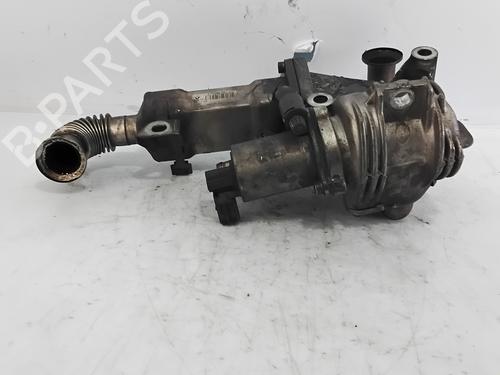 Egr RENAULT SCÉNIC II (JM0/1_) 1.9 dCi (JM0G, JM12, JM1G, JM2C) | BP29828122M69