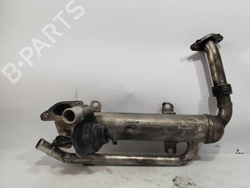 Egr SKODA OCTAVIA I (1U2) 1.9 TDI | BP28135975M69 