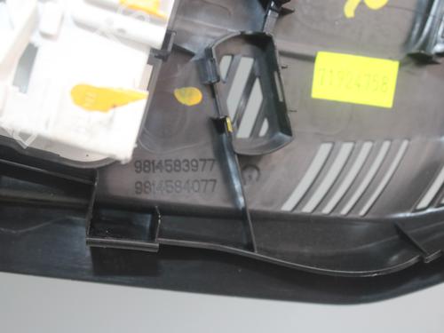 Interior roof light PEUGEOT 3008 II SUV (MC_, MR_, MJ_, M4_) 1.6 BlueHDi 120 | BP16976415I8 